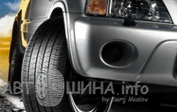 Відмінності зимових і літніх шин